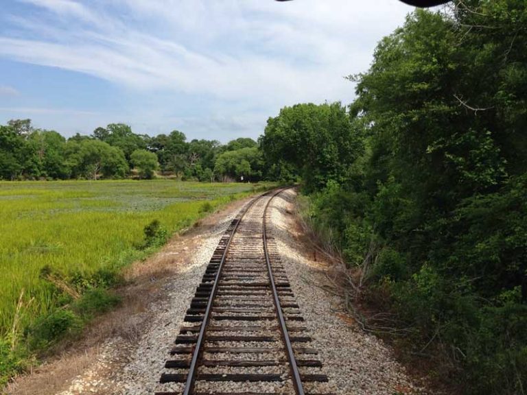 26 Best & Fun Things to Do in Palestine (TX) - The Tourist Checklist