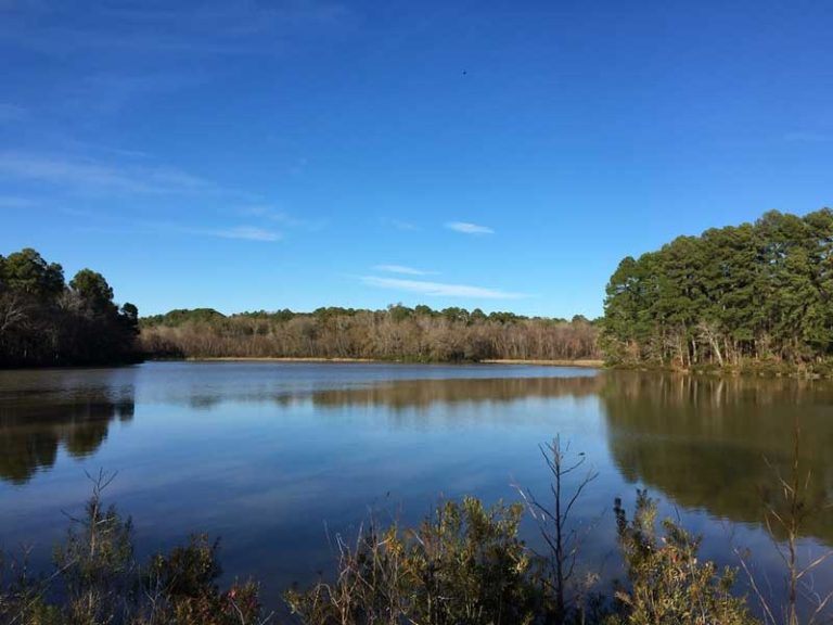 26 Best & Fun Things to Do in Palestine (TX) - The Tourist Checklist