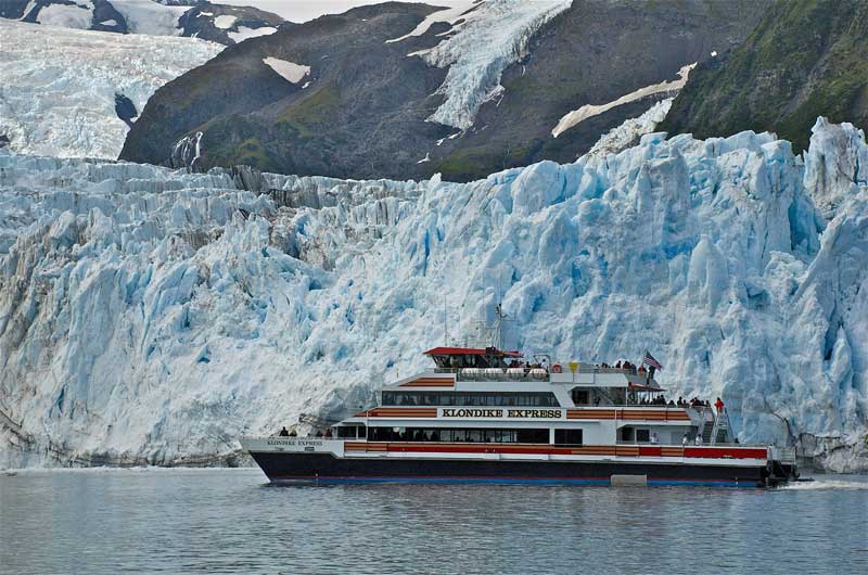 26 Glacier Cruise by Phillips Cruises and Tours