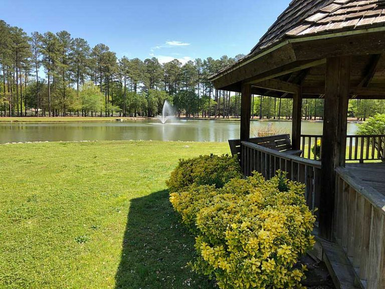 26 Best & Fun Things to Do in Cartersville (GA) The Tourist Checklist