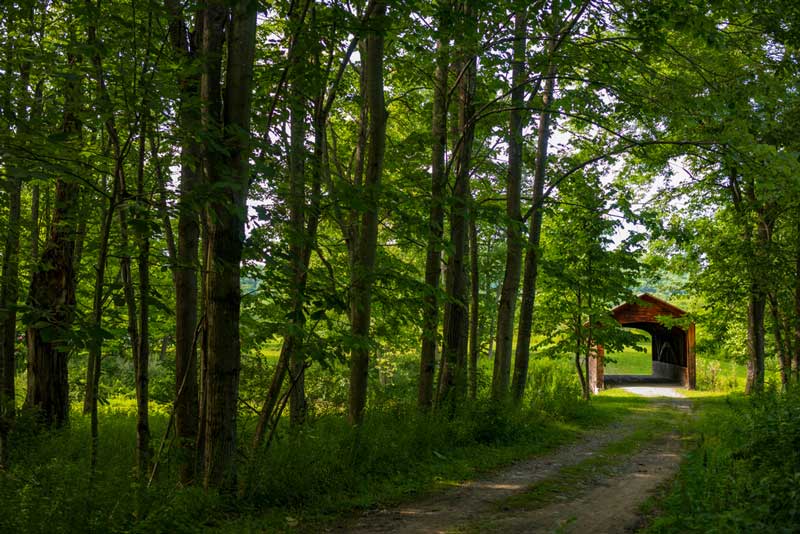 Glimmerglass State Park