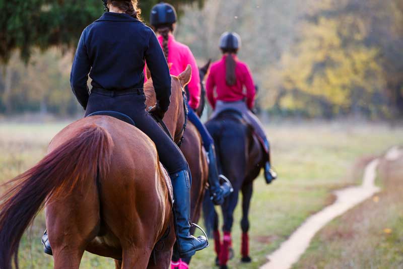 Holy Smoke Resort Horse Rides