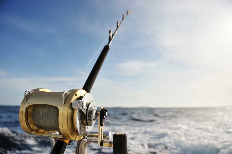 Longboat Key Fishing Charter