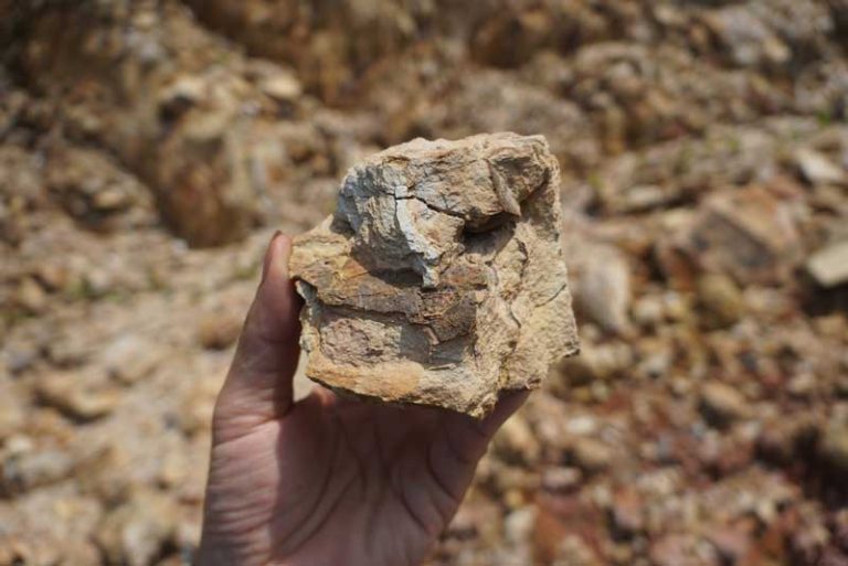 25 Best & Fun Things to Do in Payson (AZ) - The Tourist Checklist