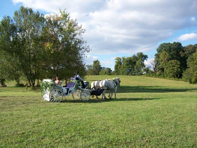 Rockn B Horse Carriage Farm & Mammaws Kitchen