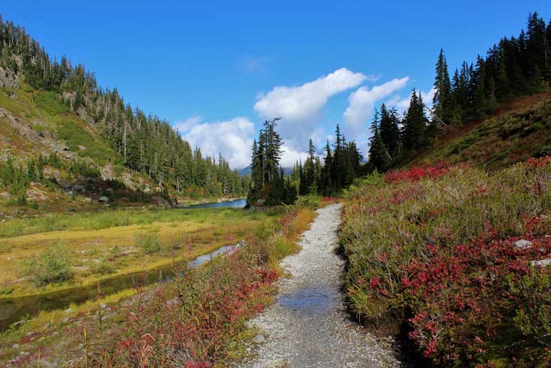 Baker Lake Trail