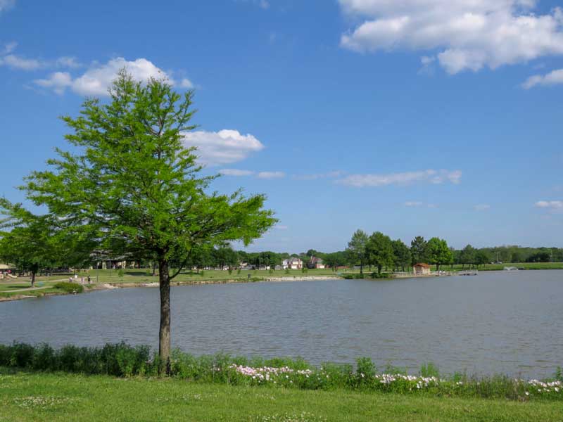 Bob Woodruff Park