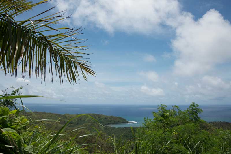 Cetti Bay Overlook