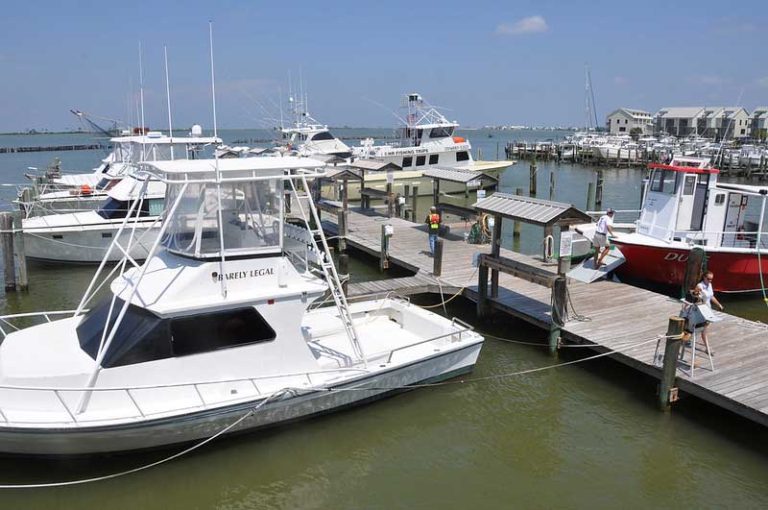 27 Best & Fun Things to Do in Dauphin Island (AL) The Tourist Checklist