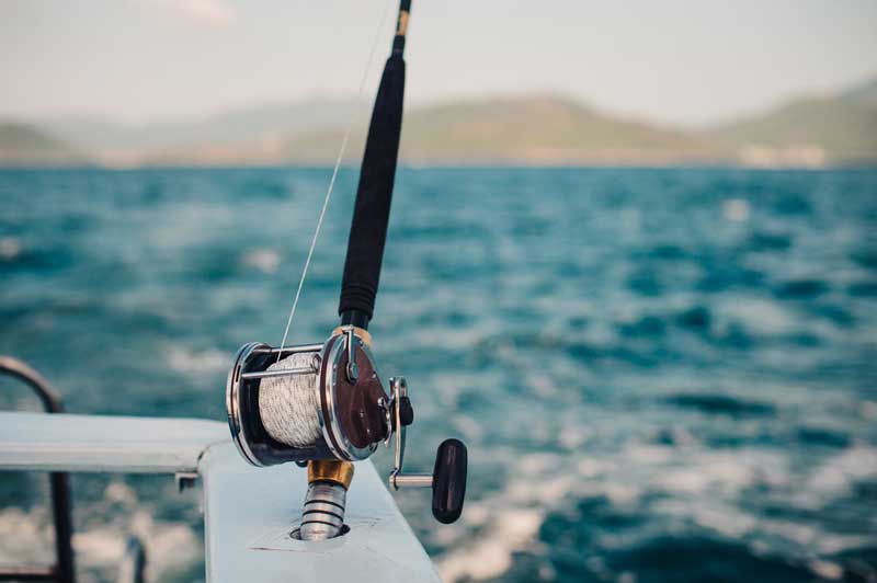FinAtics Inshore Fishing Charters