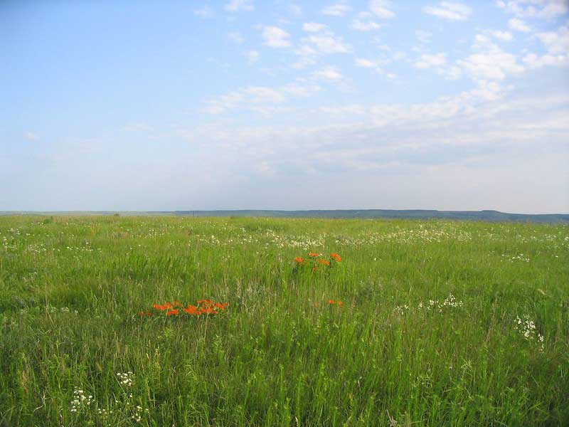 Konza Prairie