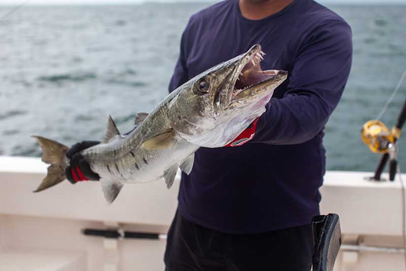 Reel Southern Charters