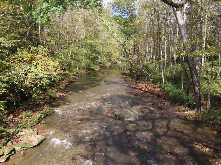 23 Best & Fun Things to Do in Yellow Springs (Ohio) The Tourist Checklist