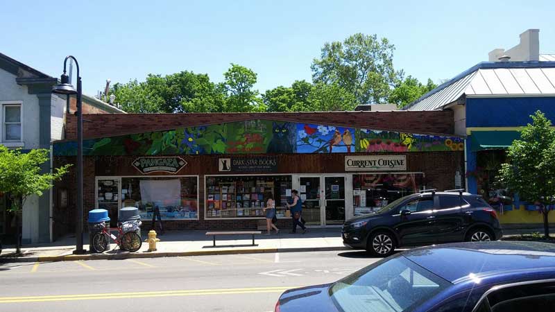 Dark Star Books and Comics