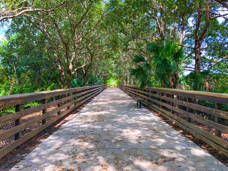 27 Best & Fun Things to Do in Delray Beach (FL) The Tourist Checklist