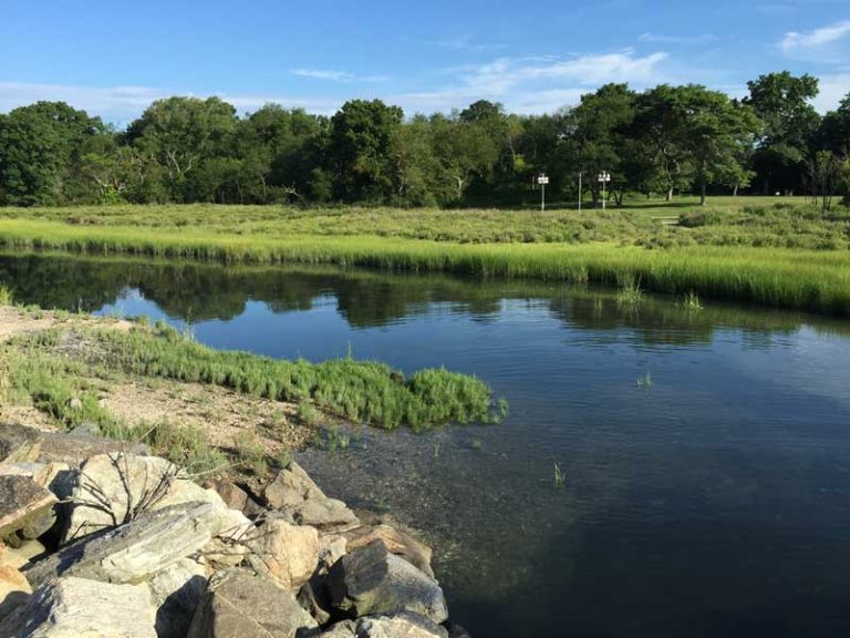 TOP THINGS TO DO IN GREENWICH CT visual data 4