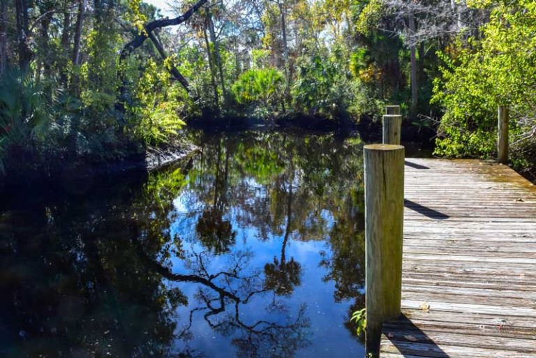 25 Best & Fun Things to Do in New Port Richey (FL) - The Tourist Checklist