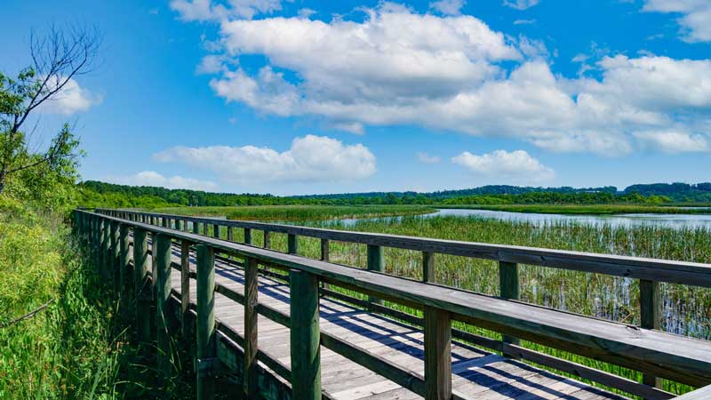 Meaher State Park