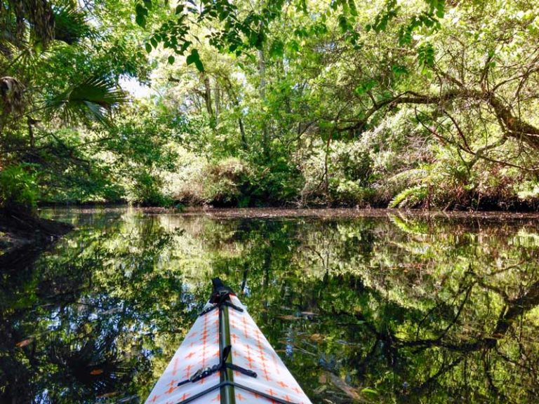 25 Best & Fun Things to Do in New Port Richey (FL) - The Tourist Checklist