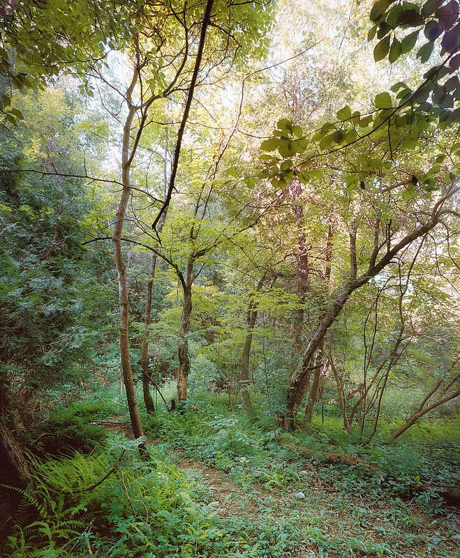 Sauk Creek Nature Preserve