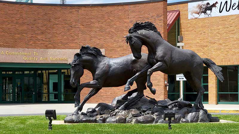 Western Wyoming Community College Natural History Museum