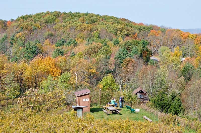 Delaware Otsego Audubon Society Sanctuary