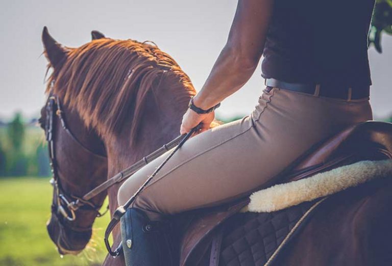 Holiday Stables