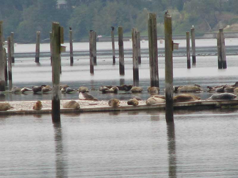 Woodard Bay Conservation Area