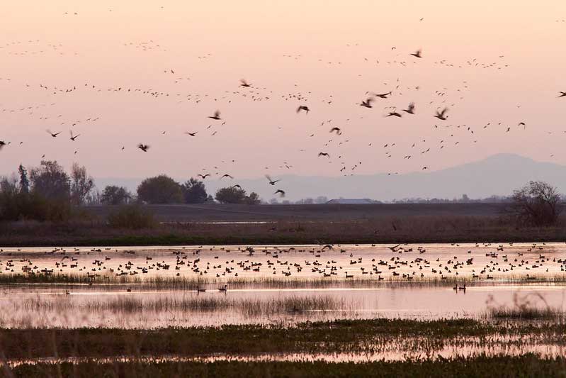 Woodbridge Ecological Reserve