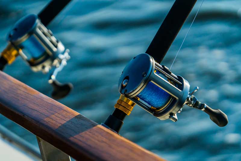 All-Star Fishing Charters