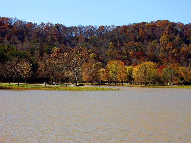 Beech Fork State Park