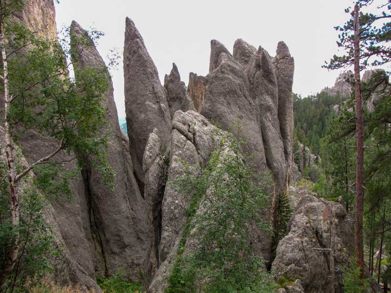 Black Hills Above and Beyond Tours
