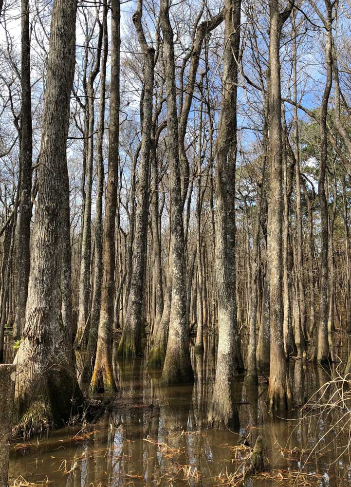 Northlake Nature Center