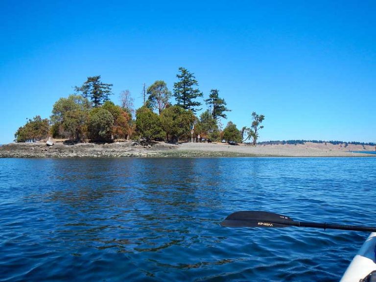 27 Best & Fun Things to Do in Friday Harbor (WA) The Tourist Checklist