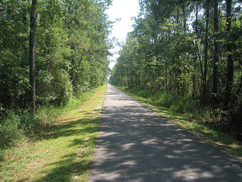 Tammany Trace