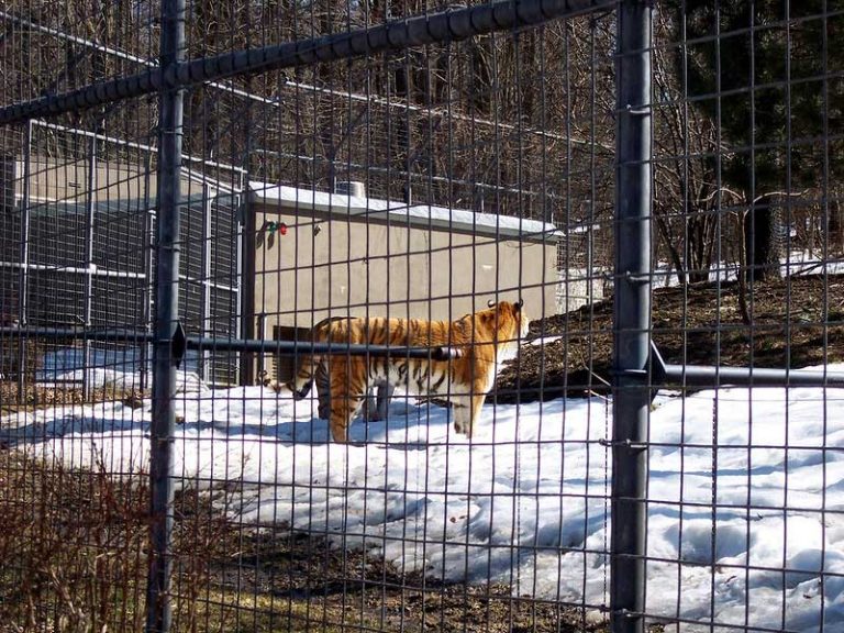 24 Best & Fun Things to Do in Utica (NY) The Tourist Checklist