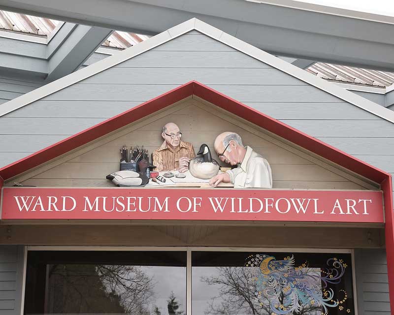 Ward Museum of Wildfowl Art