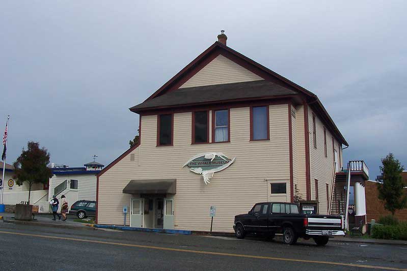 Whale Museum