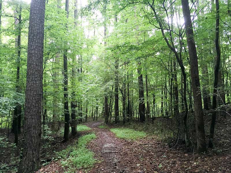 Hampton-Beecher Nature Preserve