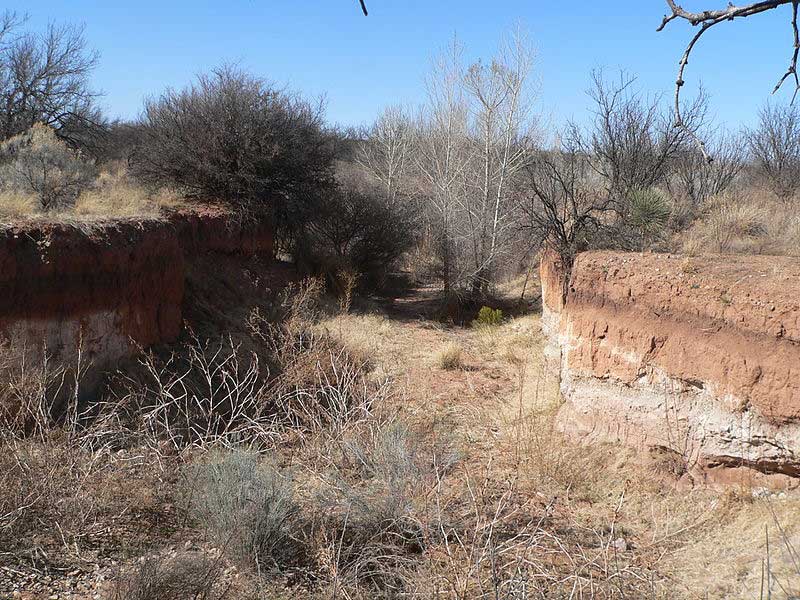 Murray Spring Clovis Site