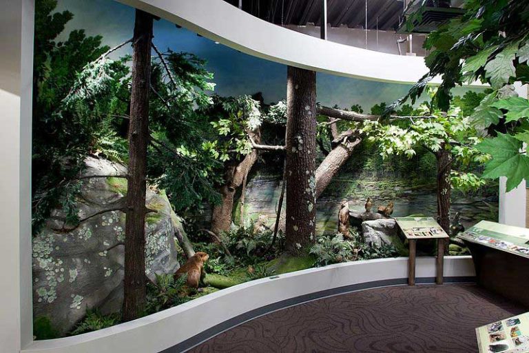 23 Best Fun Things To Do In East Stroudsburg PA The Tourist Checklist 23-best-fun-things-to-do-in-east-stroudsburg-pa-the-tourist-checklist