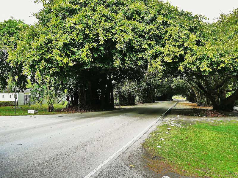 Old Cutler Trail