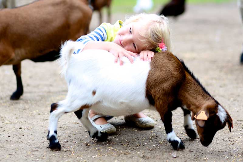 Two BY Two Petting Zoo