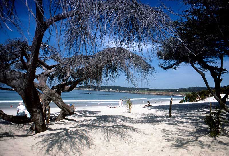 Carmel City Beach