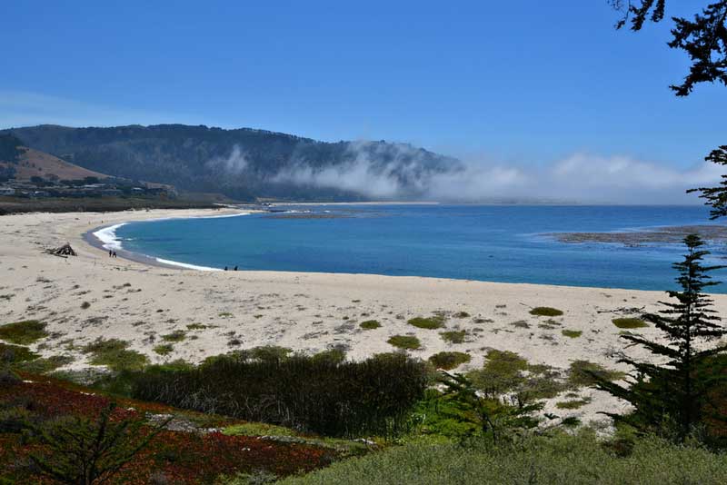 Carmel River State Beach