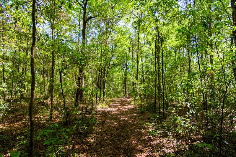 Cofrin Nature Park