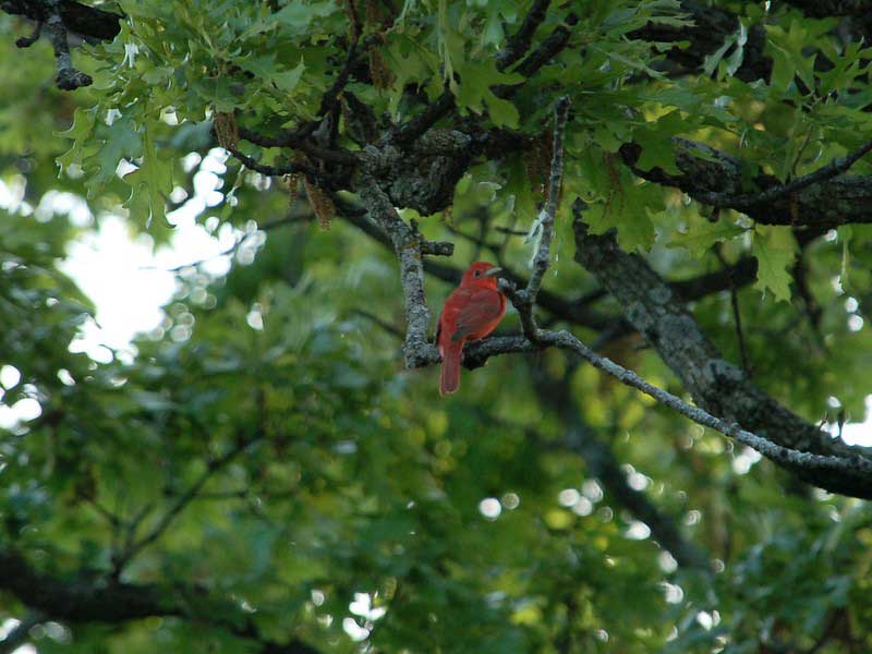 Kill Creek Park