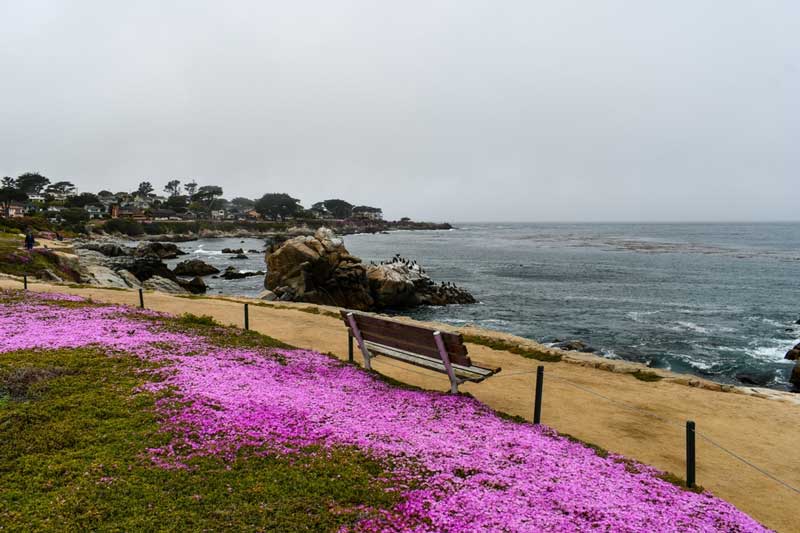 Lovers Point Beach