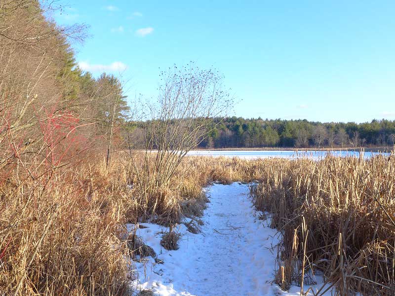 Fitzgerald Lake Conservation Area