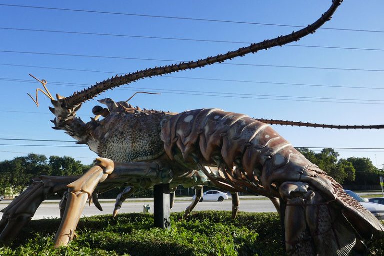 15-best-places-for-shopping-in-key-largo-fl-the-tourist-checklist